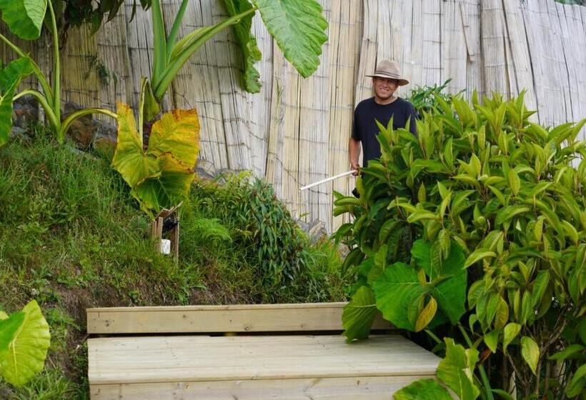 בית מלון כפרי Bethel Lozana Guatape