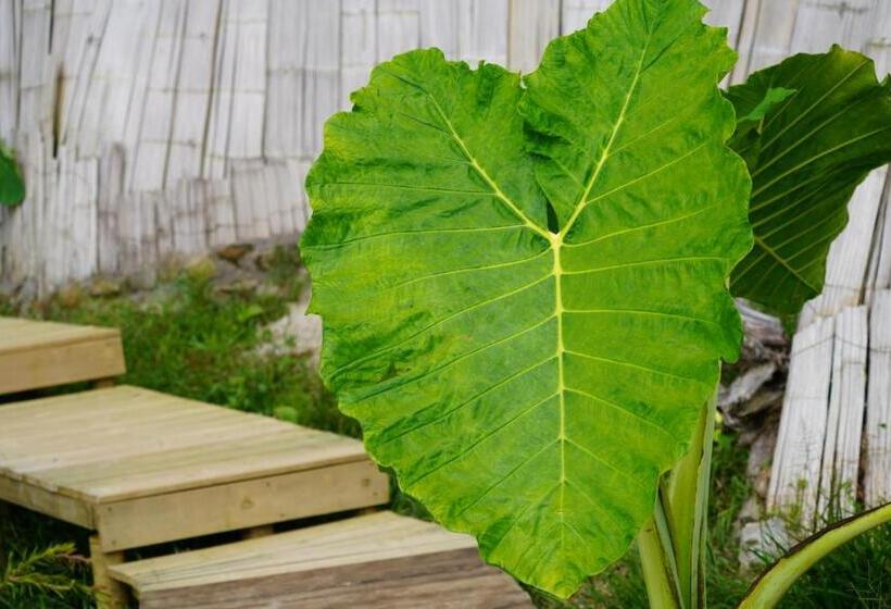 בית מלון כפרי Bethel Lozana Guatape