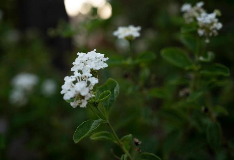 בית מלון כפרי Boutique Cerro Del Sol Adults Only Recommended