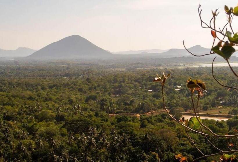 Отель Eden Grand