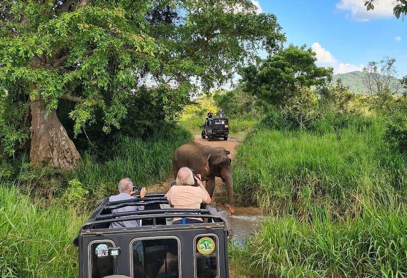 Отель Eden Grand