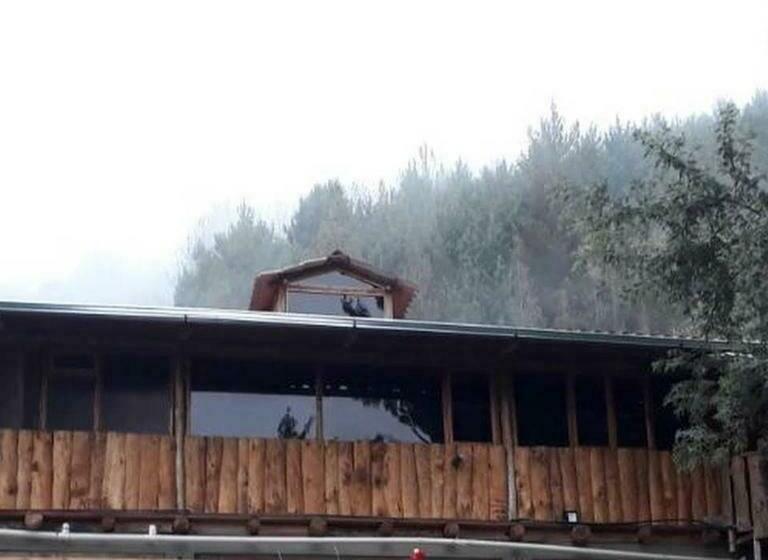 Отель El Trapiche