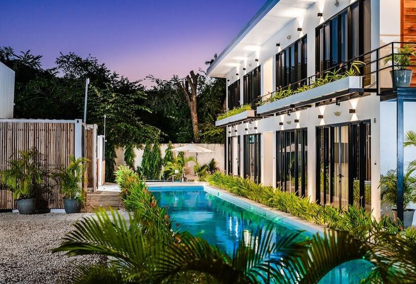 ホテル House Of Nomad   Adults Only