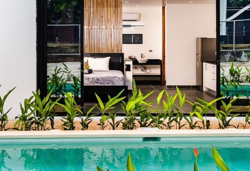 ホテル House Of Nomad   Adults Only