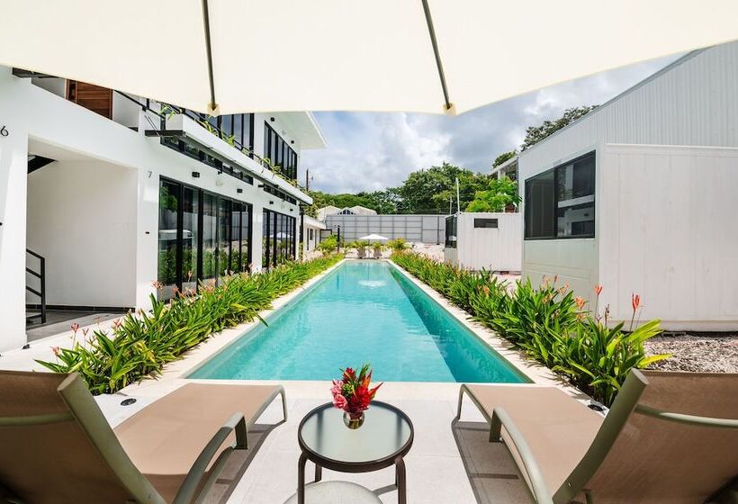 ホテル House Of Nomad   Adults Only