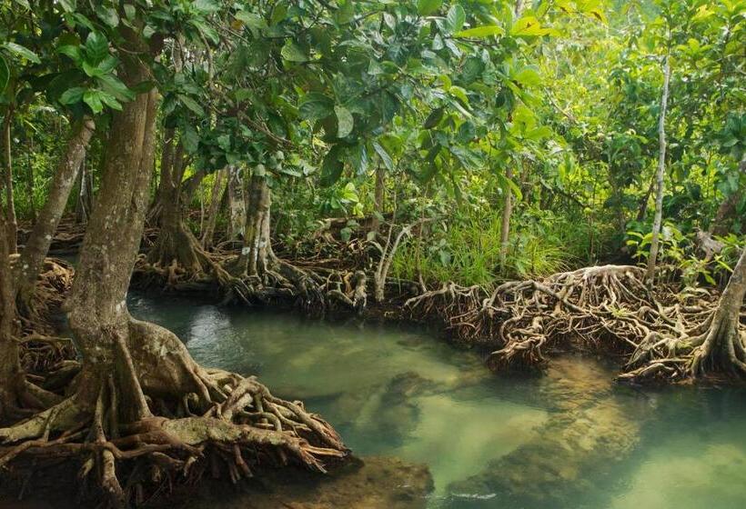 ホテル House Of Nomad   Adults Only