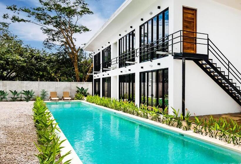 ホテル House Of Nomad   Adults Only