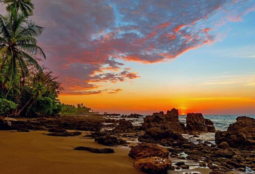 ホテル House Of Nomad   Adults Only