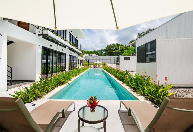 ホテル House Of Nomad   Adults Only