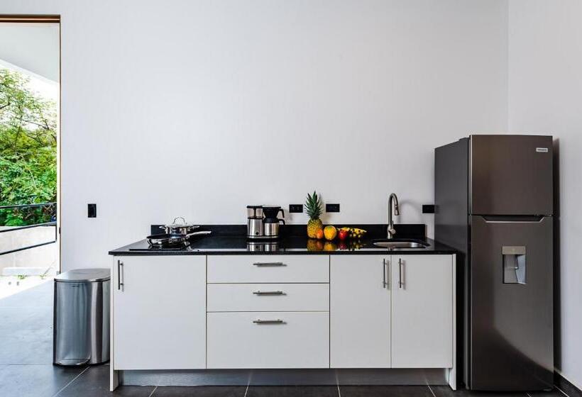 ホテル House Of Nomad   Adults Only