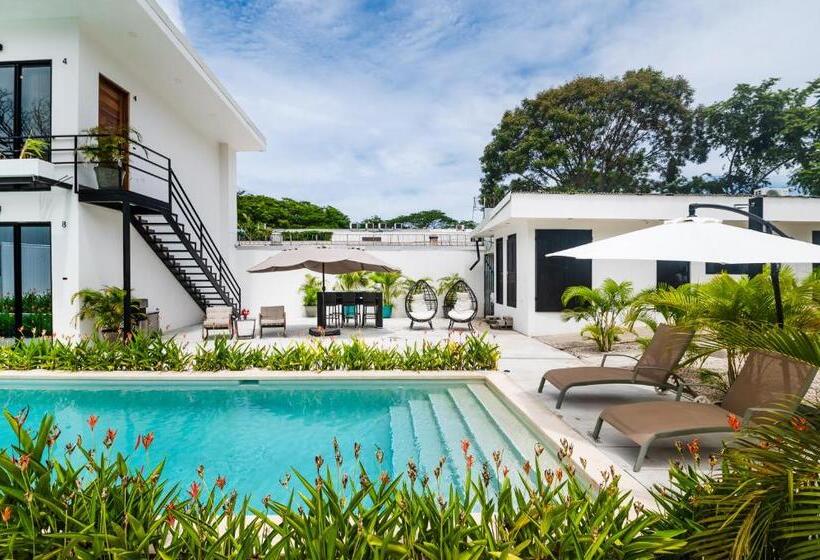 ホテル House Of Nomad   Adults Only