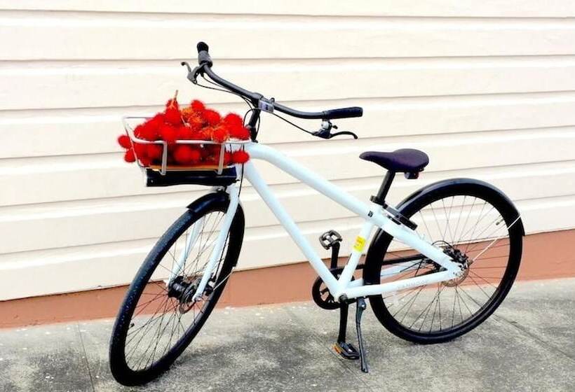 ホテル Pacific 19 Kona