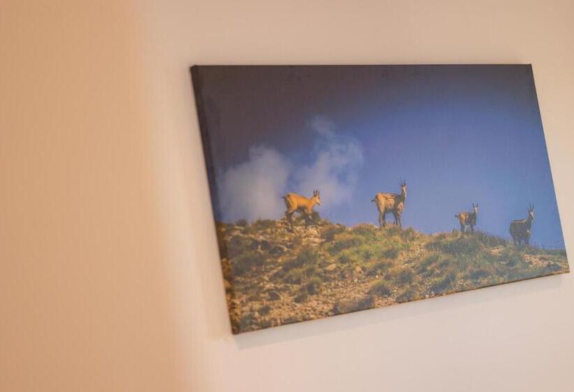 هتل Pokoje Gościnne Ava