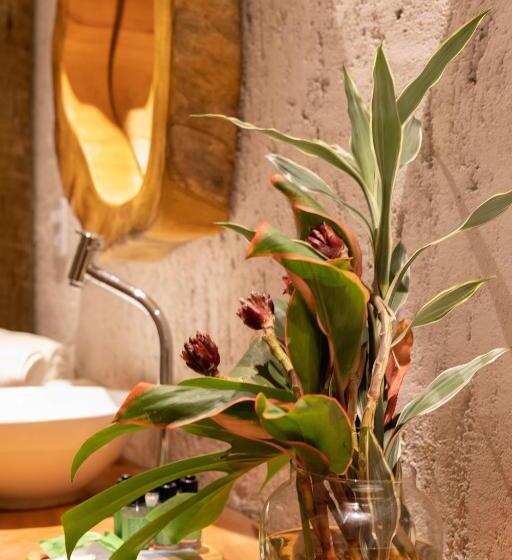 בית מלון כפרי Pousada Zaya