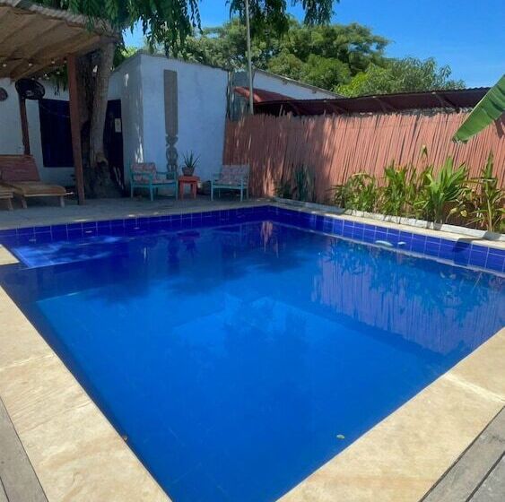 Отель Renasci Palomino