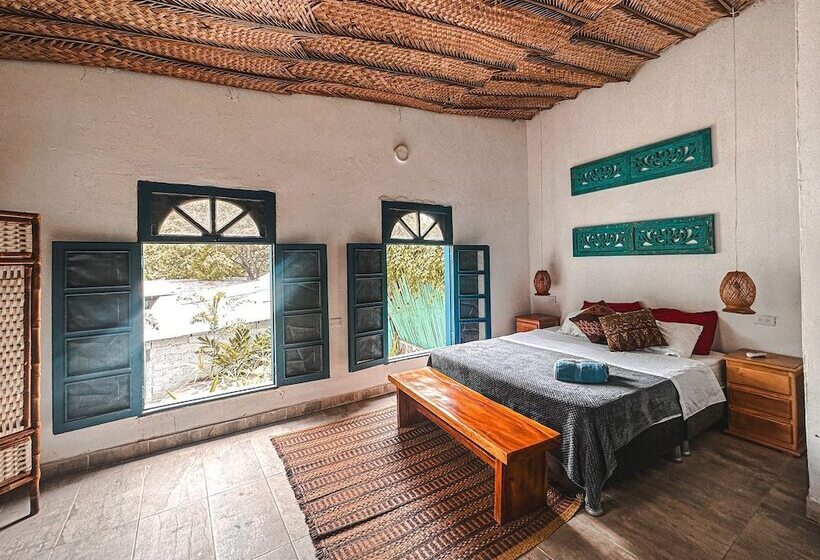 Отель Renasci Palomino