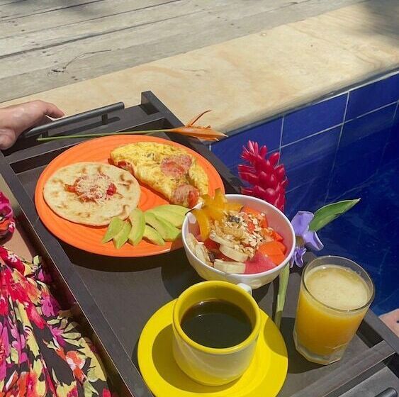 Отель Renasci Palomino