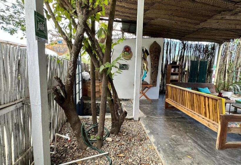 Отель Renasci Palomino