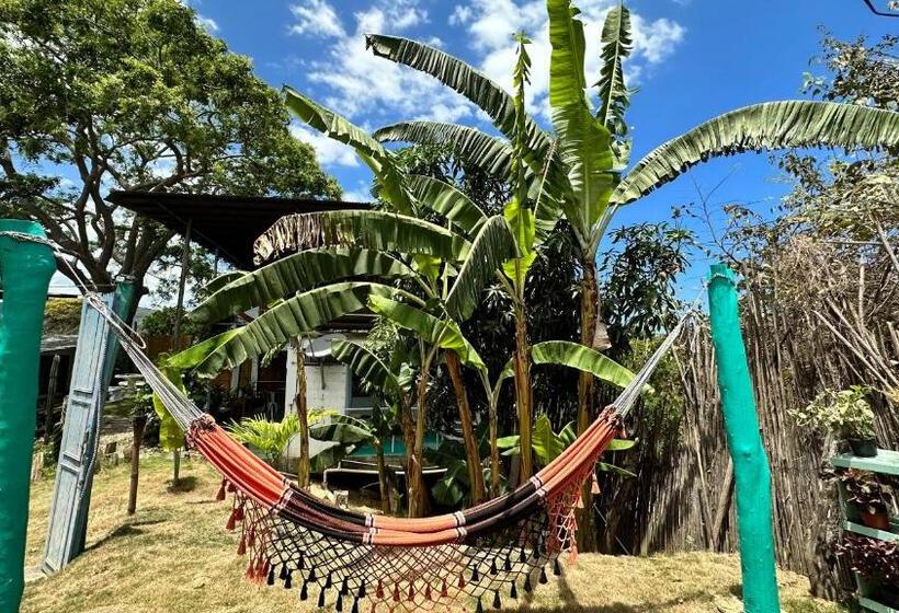 Отель Renasci Palomino