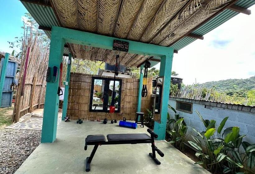 Отель Renasci Palomino