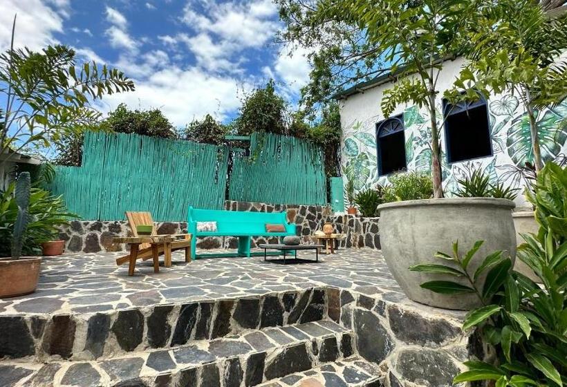 Отель Renasci Palomino