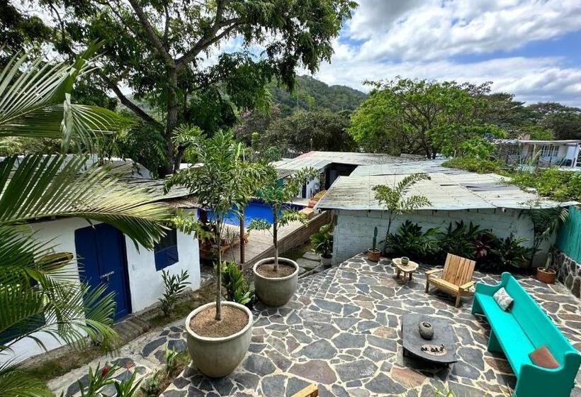 هتل Renasci Palomino