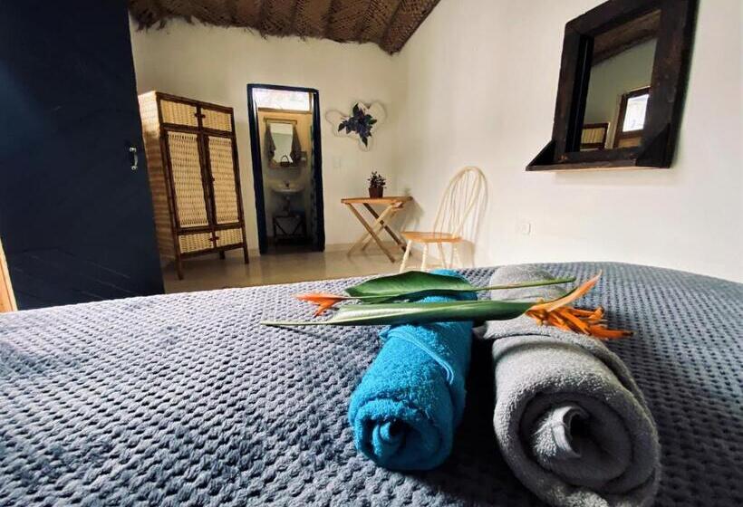 Отель Renasci Palomino