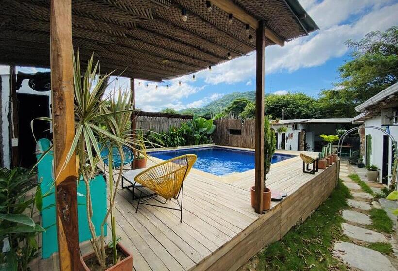 فندق Renasci Palomino