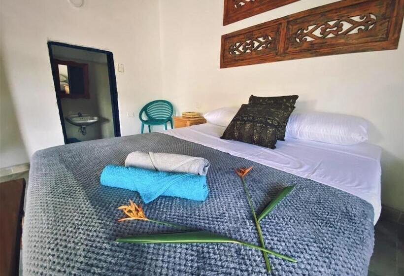 Отель Renasci Palomino