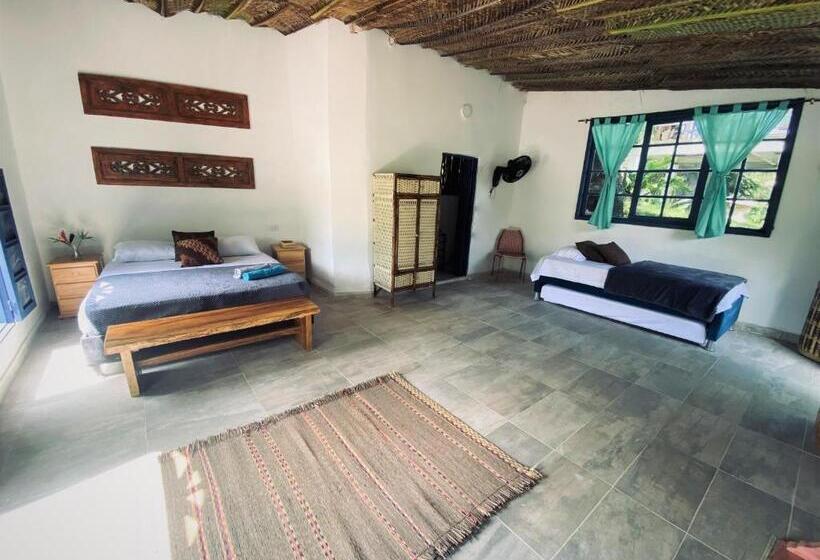 هتل Renasci Palomino