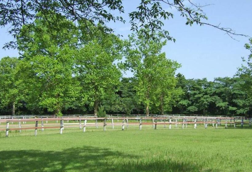 בית מלון כפרי Toyoko Inn Imba Nihonidai Ekimae