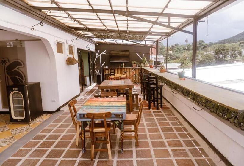 호텔 Tuki Hostel & Lounge