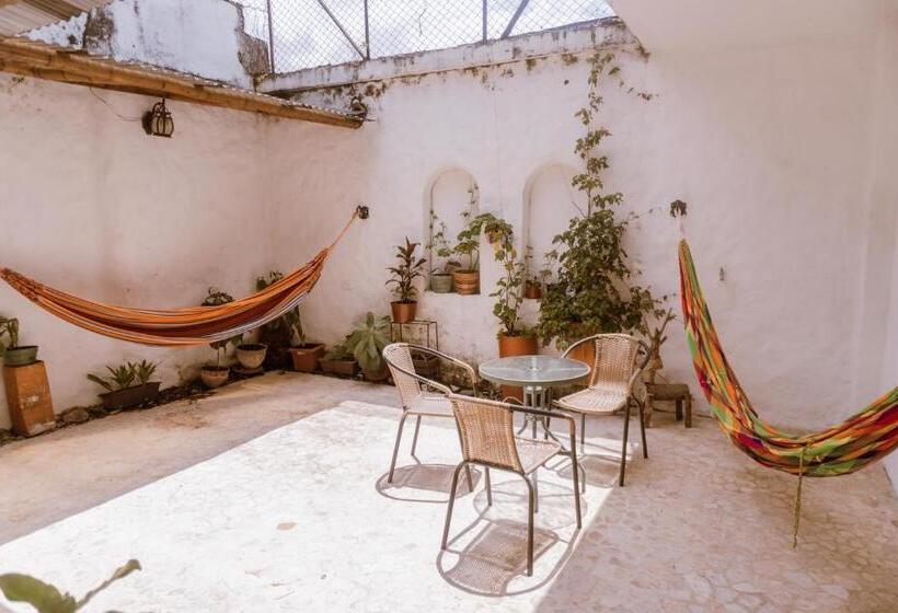 호텔 Tuki Hostel & Lounge