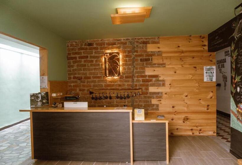 호텔 Tuki Hostel & Lounge