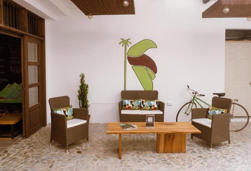 호텔 Tuki Hostel & Lounge