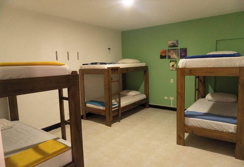 호텔 Tuki Hostel & Lounge