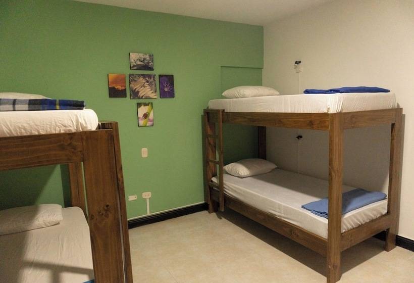 هتل Tuki Hostel & Lounge