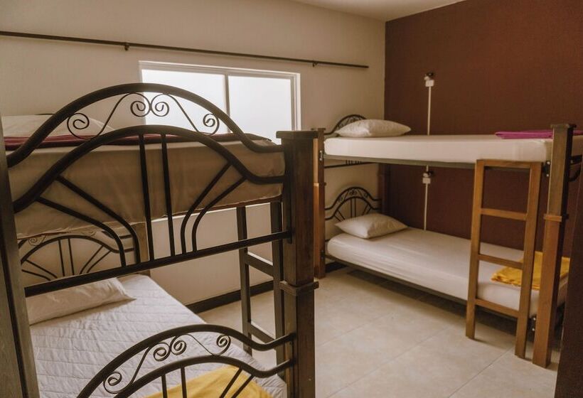 호텔 Tuki Hostel & Lounge