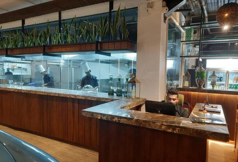 فندق Viluxey City