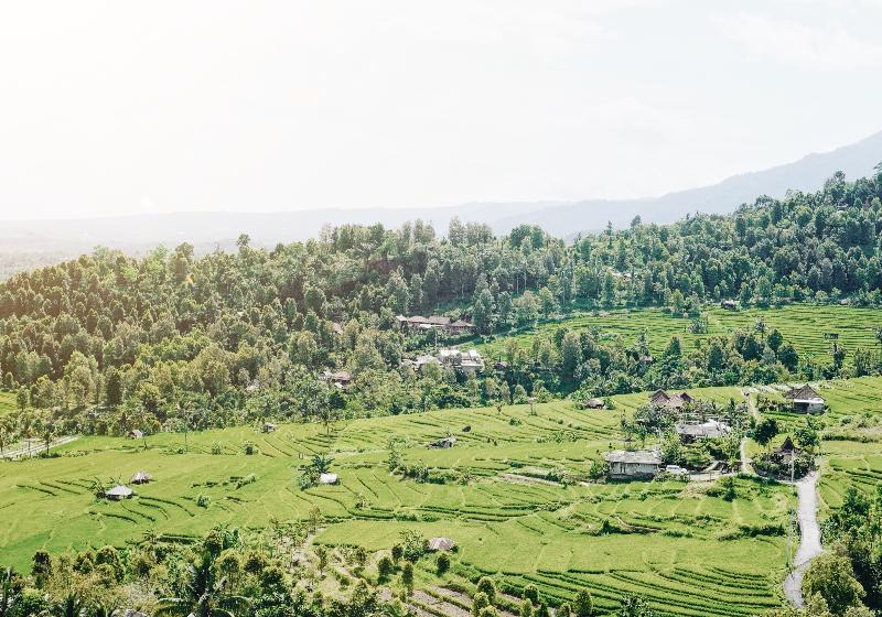 Maha Hills Resort By Mahaprana Experience