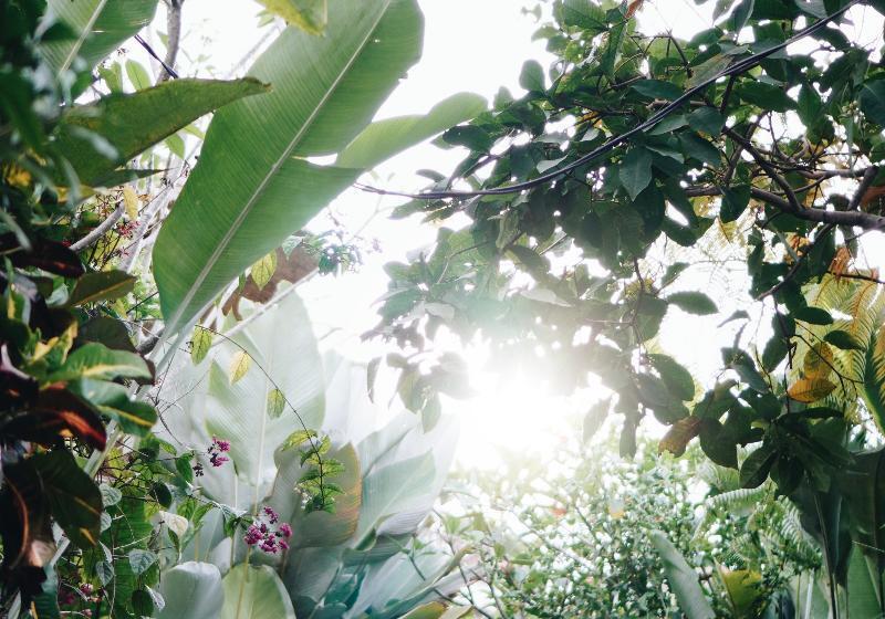 Maha Hills Resort By Mahaprana Experience