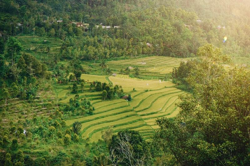 Maha Hills Resort By Mahaprana Experience