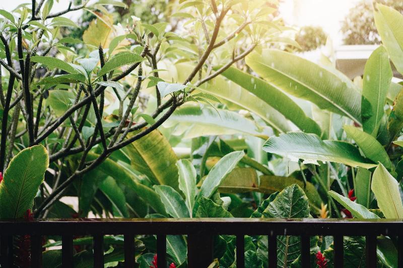 Maha Hills Resort By Mahaprana Experience