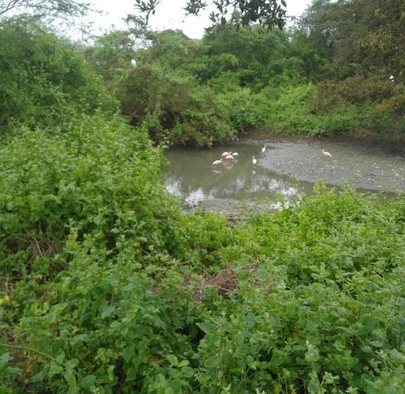 Manglaralto Beach Suite S