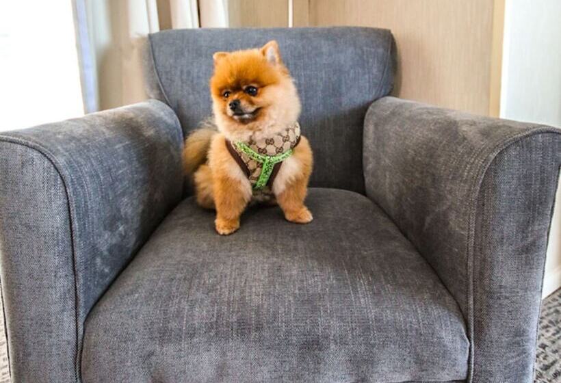 Novotel Puerto Montt