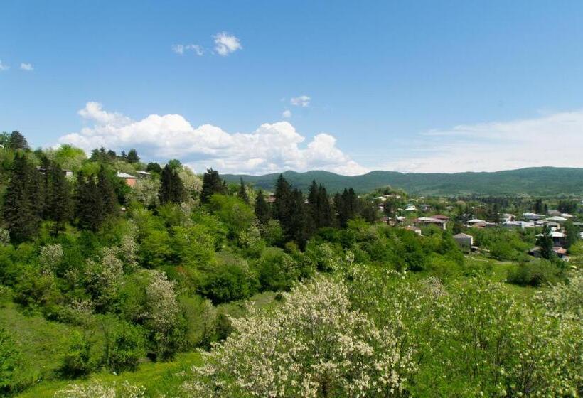 پانسیون Bagrat Guest House