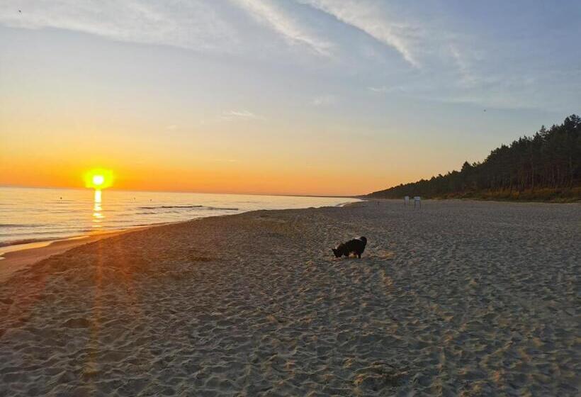 Пансион Bursztynowa 1