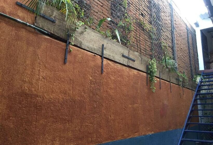 פנסיון El Coyote