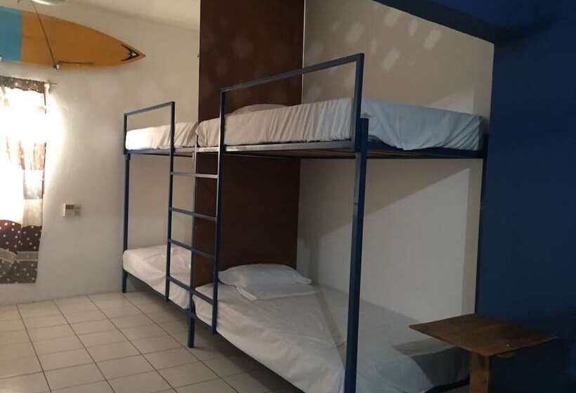 פנסיון El Coyote