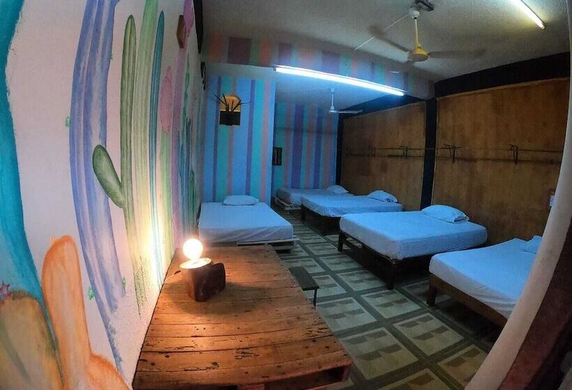 פנסיון El Coyote